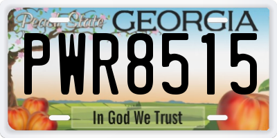 GA license plate PWR8515