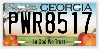GA license plate PWR8517