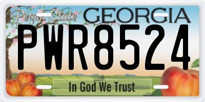 GA license plate PWR8524