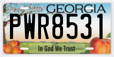 GA license plate PWR8531