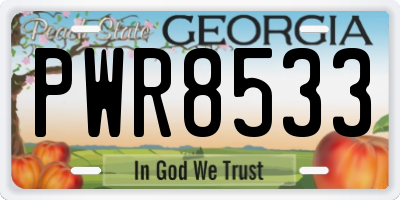 GA license plate PWR8533