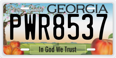 GA license plate PWR8537
