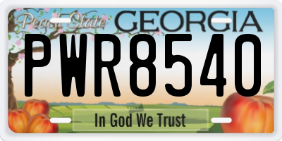 GA license plate PWR8540