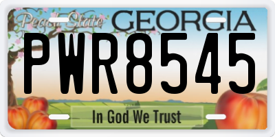 GA license plate PWR8545