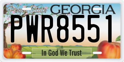 GA license plate PWR8551