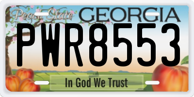 GA license plate PWR8553