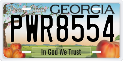 GA license plate PWR8554