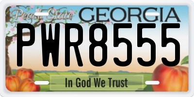 GA license plate PWR8555