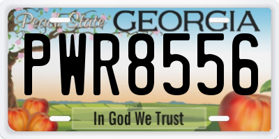 GA license plate PWR8556