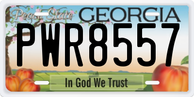 GA license plate PWR8557