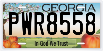 GA license plate PWR8558