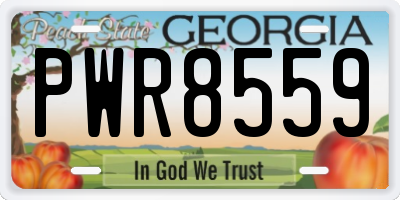 GA license plate PWR8559