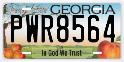 GA license plate PWR8564