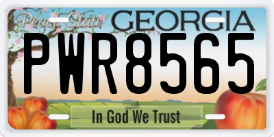GA license plate PWR8565