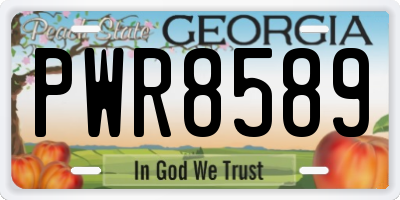 GA license plate PWR8589
