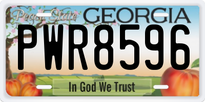 GA license plate PWR8596
