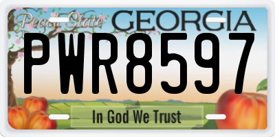 GA license plate PWR8597