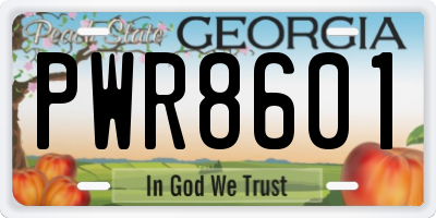 GA license plate PWR8601