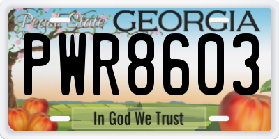 GA license plate PWR8603