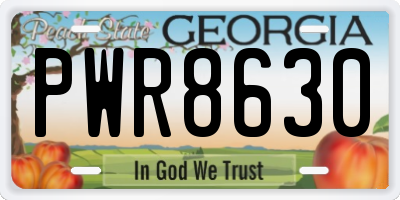 GA license plate PWR8630