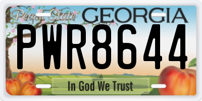 GA license plate PWR8644