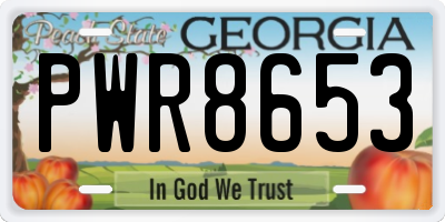 GA license plate PWR8653