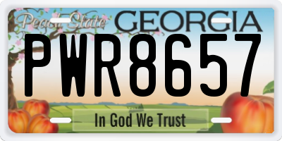 GA license plate PWR8657