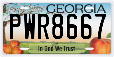 GA license plate PWR8667
