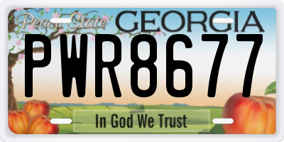 GA license plate PWR8677