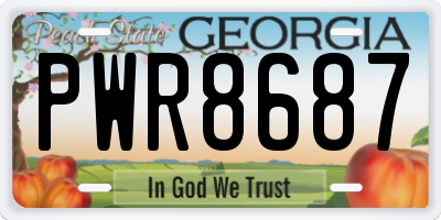GA license plate PWR8687