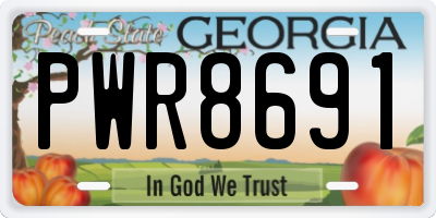 GA license plate PWR8691