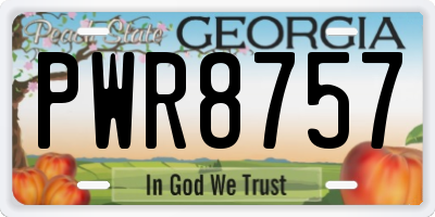 GA license plate PWR8757