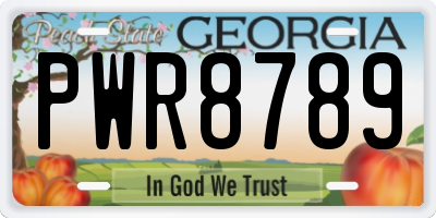 GA license plate PWR8789
