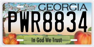 GA license plate PWR8834