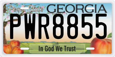 GA license plate PWR8855