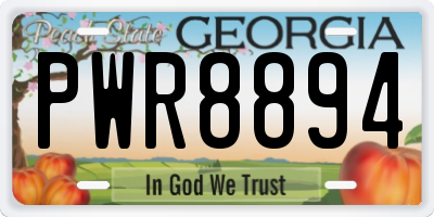 GA license plate PWR8894