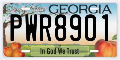 GA license plate PWR8901