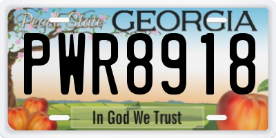 GA license plate PWR8918