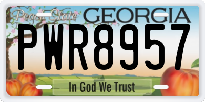 GA license plate PWR8957