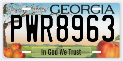 GA license plate PWR8963