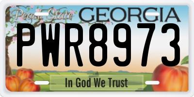 GA license plate PWR8973