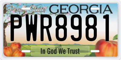 GA license plate PWR8981