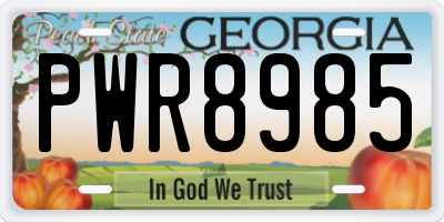 GA license plate PWR8985