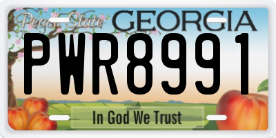 GA license plate PWR8991