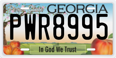 GA license plate PWR8995