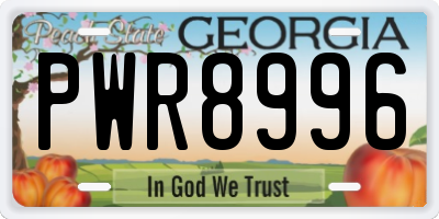 GA license plate PWR8996