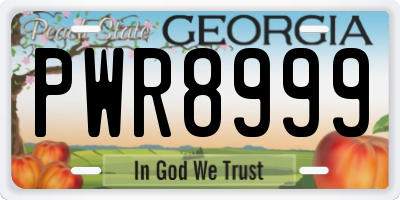 GA license plate PWR8999