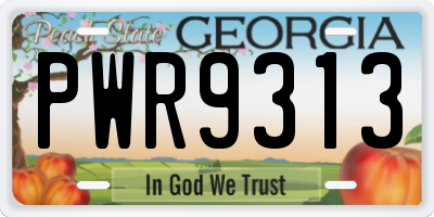 GA license plate PWR9313