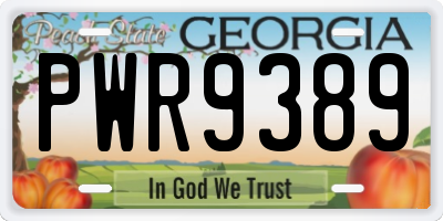 GA license plate PWR9389