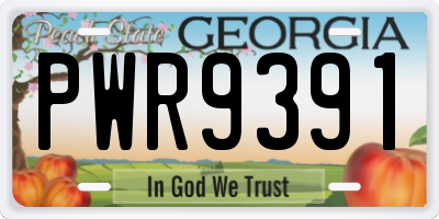 GA license plate PWR9391
